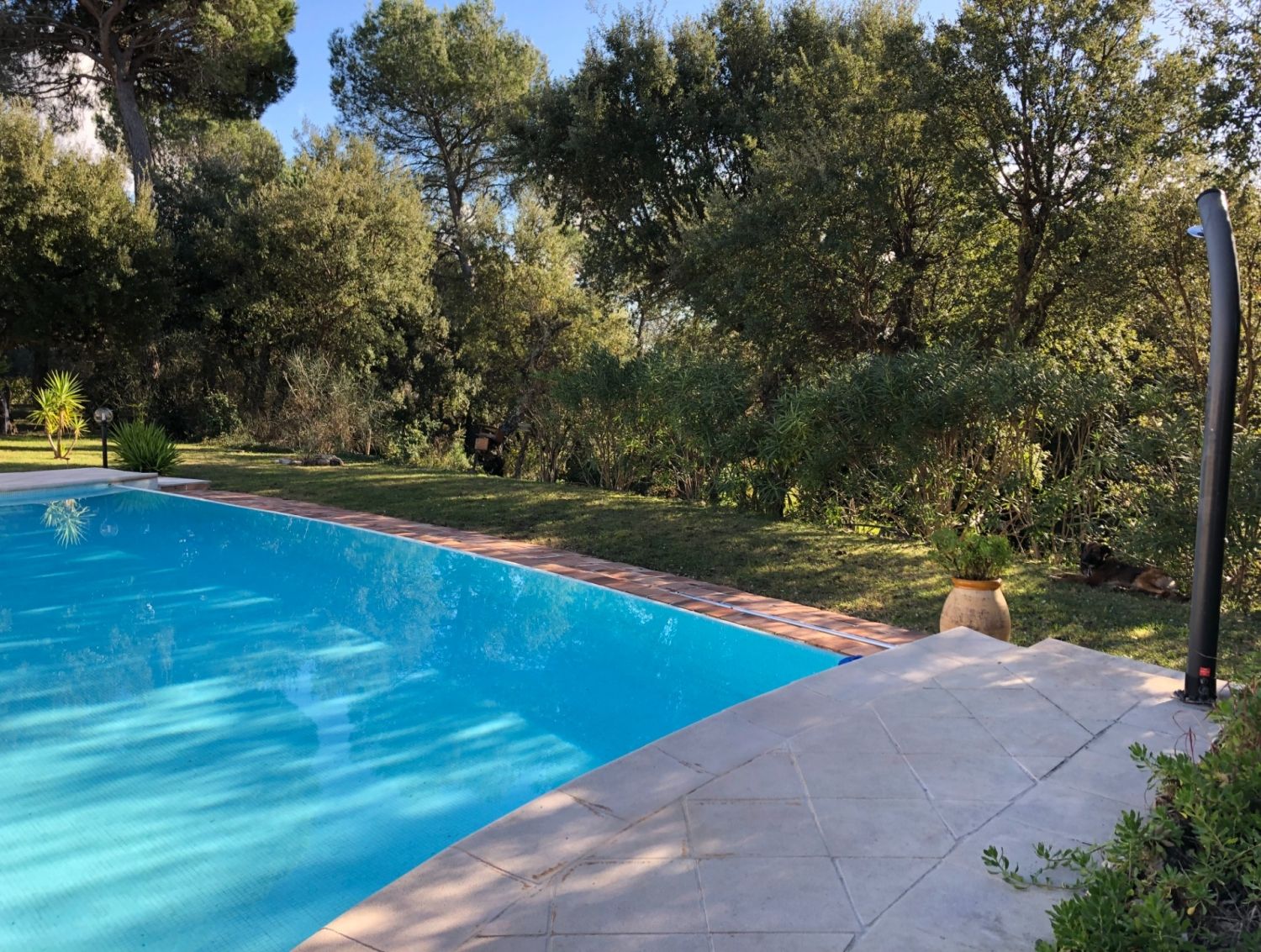 Provencal farmhouse with swimming pool and patio