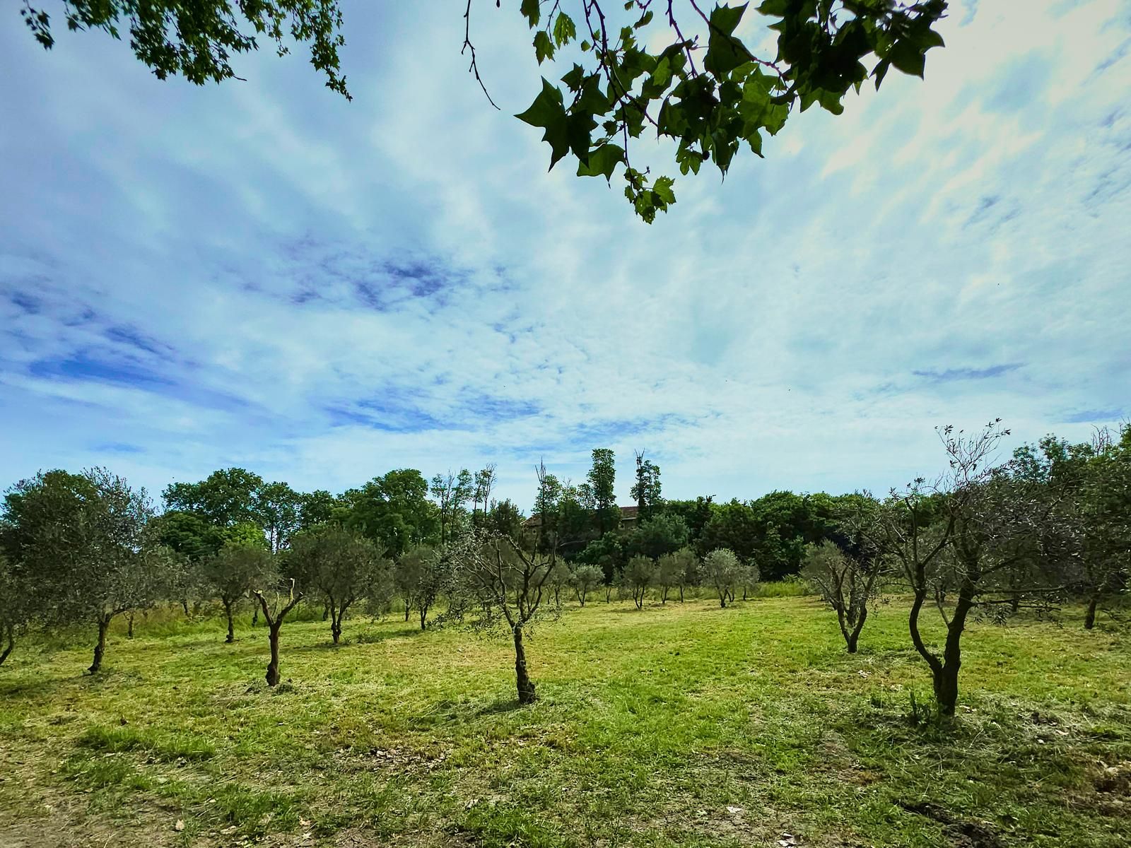 Domaine in Saint-Rémy-de-Provence – Event Venue in the Alpilles