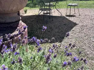Villa Belle Époque - Un Lieu de Charme de Style Boutique-Hôtel Près de Paris