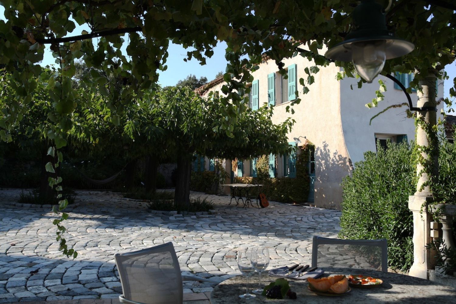 Saint-Tropez villa and small vineyard 