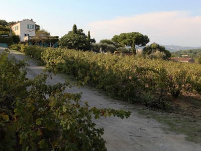 Saint-Tropez villa and small vineyard 