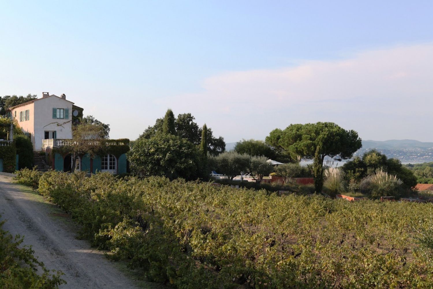 Saint-Tropez villa and small vineyard 