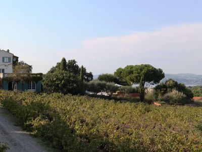 Saint-Tropez villa and small vineyard 
