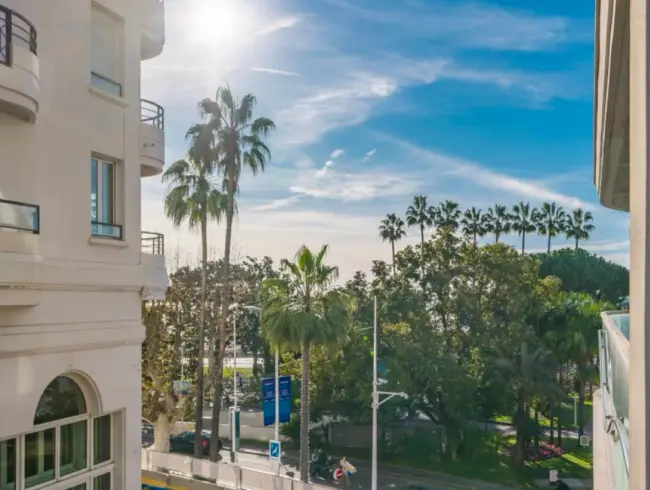 Charming One-Bedroom Apartment with Terrace on the Croisette