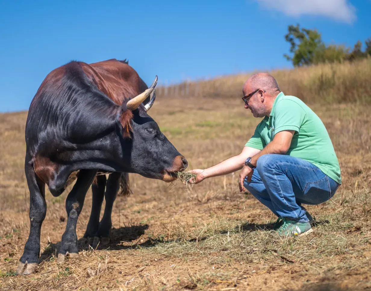 Salle de séminaire unique dans une ferme sanctuaire | Lieu d'événement