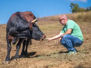Salle de séminaire unique dans une ferme sanctuaire | Lieu d'événement
