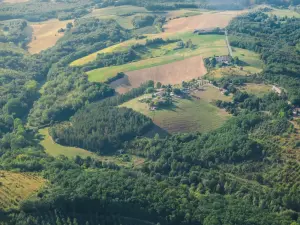 Salle de séminaire unique dans une ferme sanctuaire | Lieu d'événement