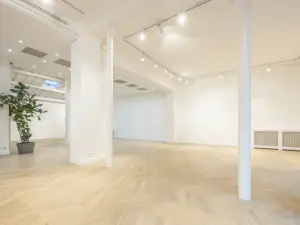 Appartement Parisien Élégant pour Événements Professionnels