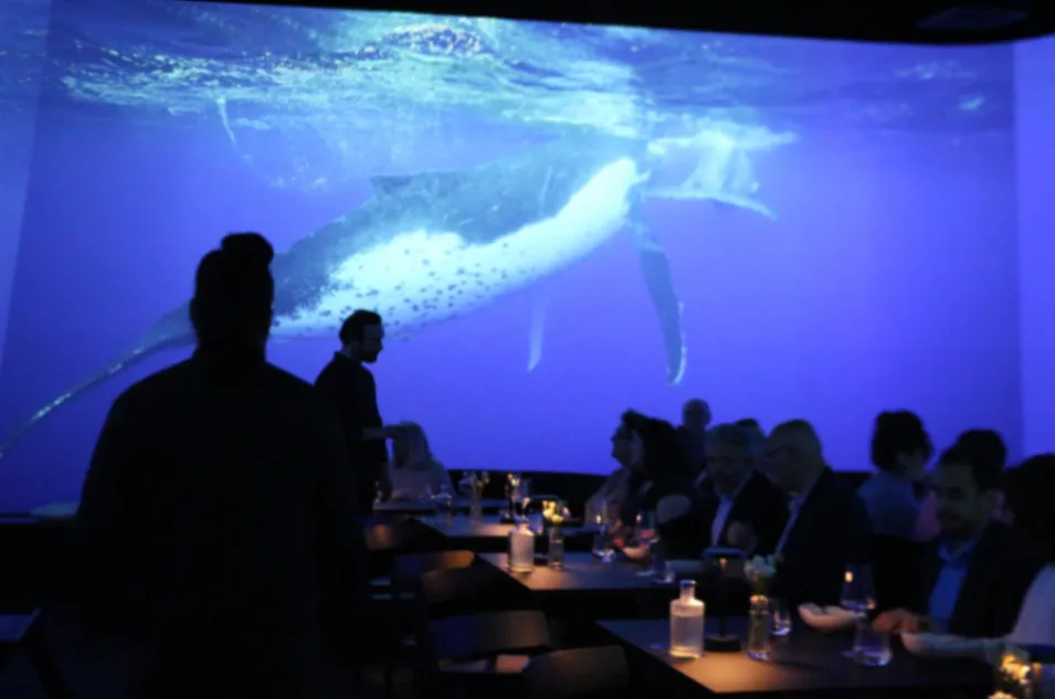 Immersive 360° Venue in Paris | Unique Event Space