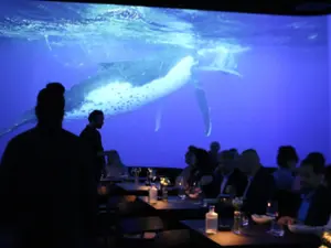 Immersive 360° Venue in Paris | Unique Event Space