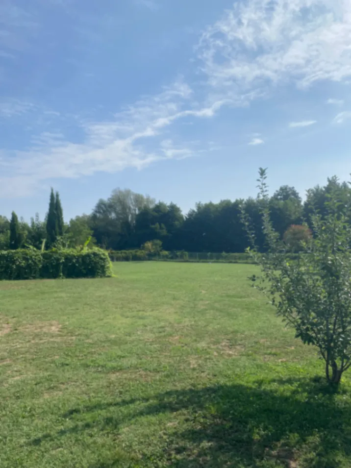 L'Écrin des Palmiers : Domaine exclusif pour événements haut de gamme