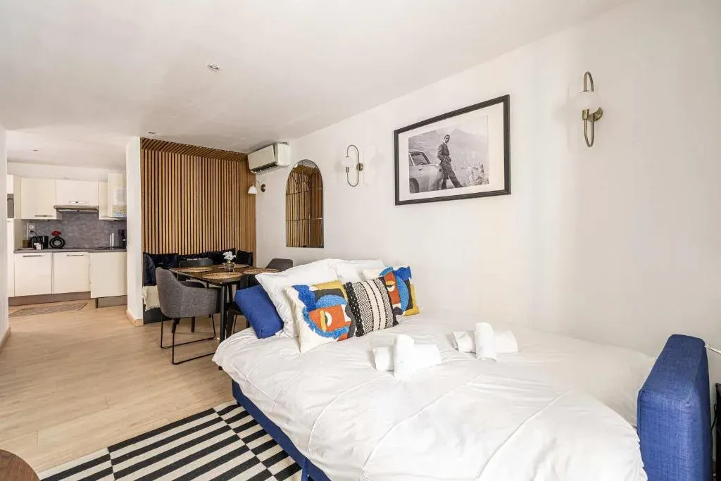Charming 1-Bedroom Apartment in Cannes