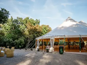Organic Wine Estate in Provence | Corporate Events & Seminars