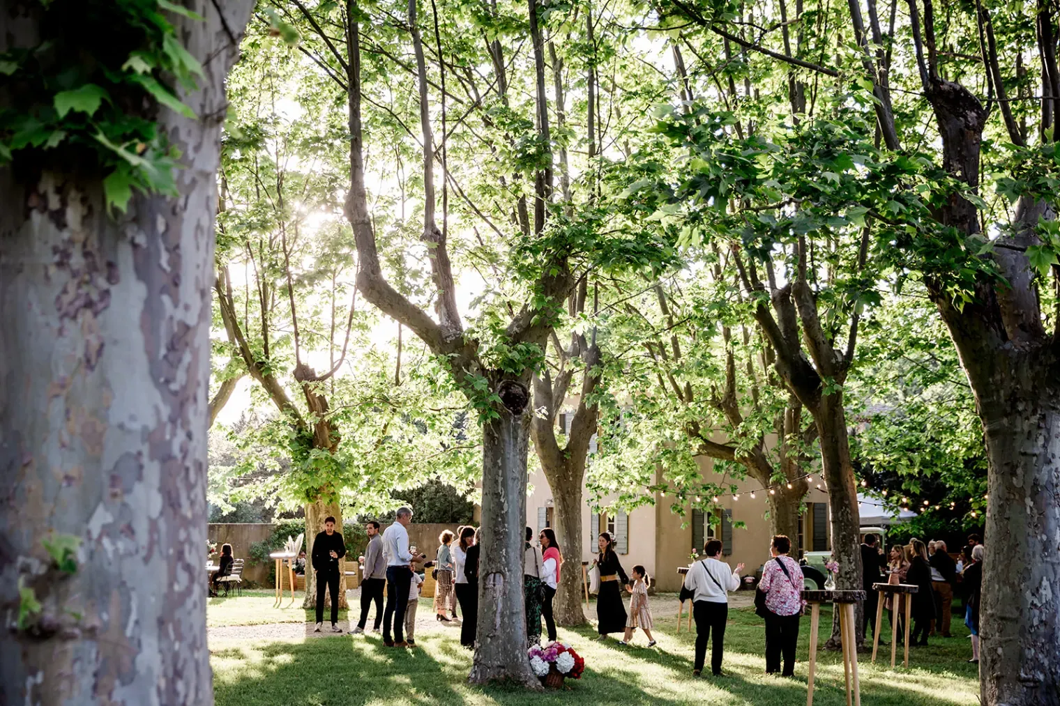 Domaine viticole bio en Provence | Séminaires & Événements d'entreprise