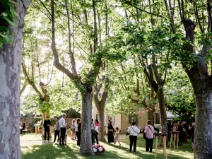 Organic Wine Estate in Provence | Corporate Events & Seminars