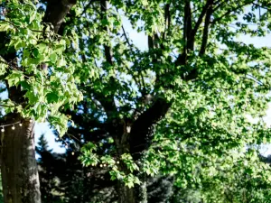 Organic Wine Estate in Provence | Corporate Events & Seminars