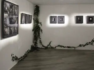 Galerie d'art contemporain à Aix-en-Provence | Lieu pour événements
