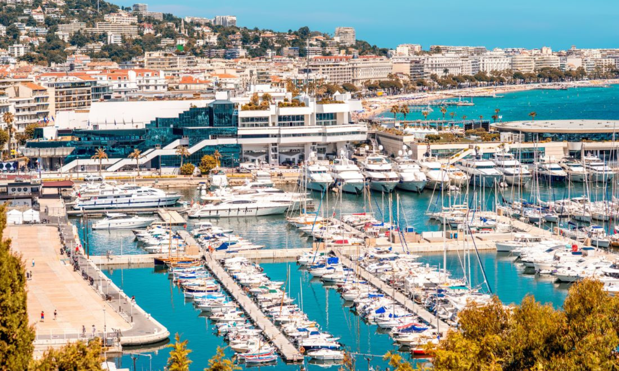 Planning a Cannes Lions Side Event