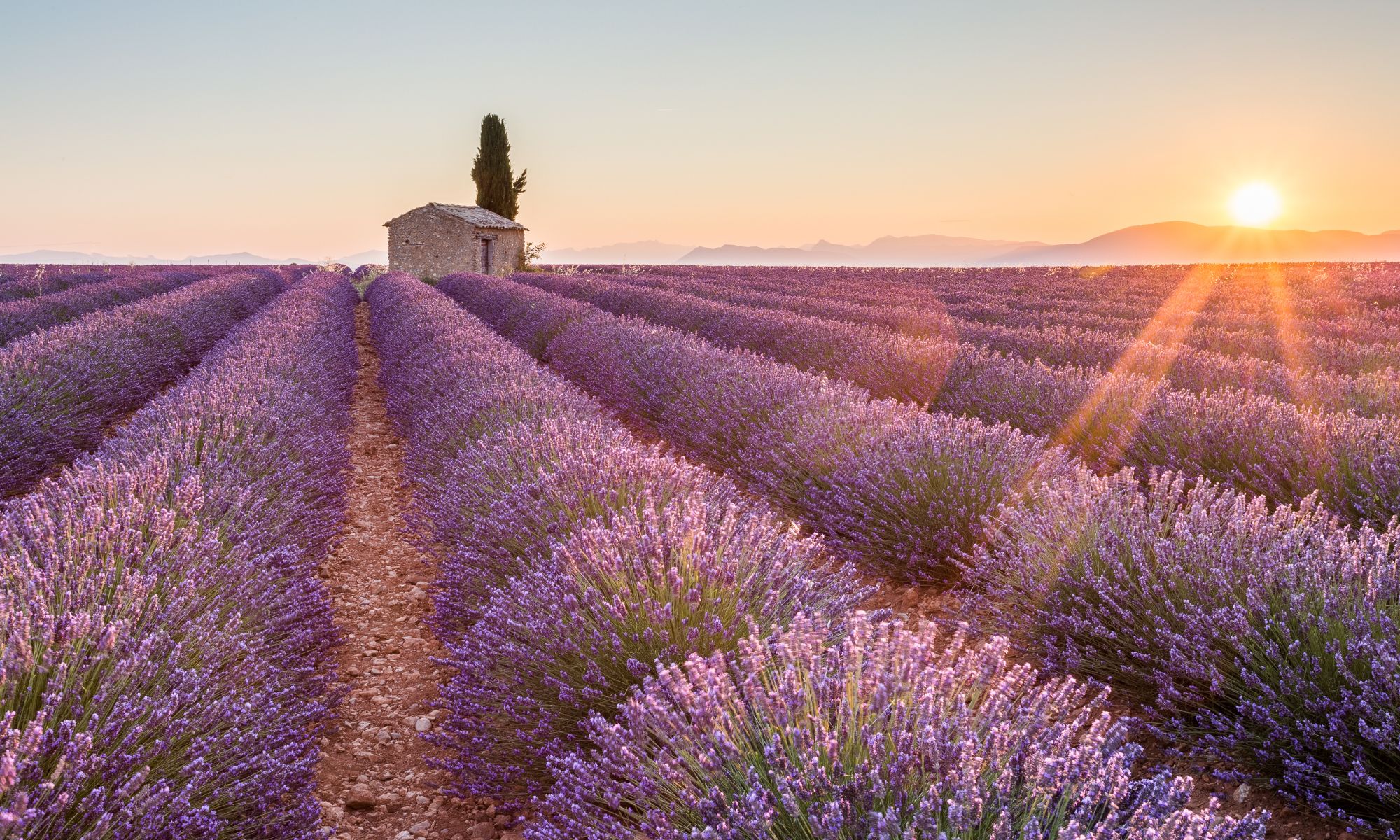 6 Reasons to Get Married in Provence