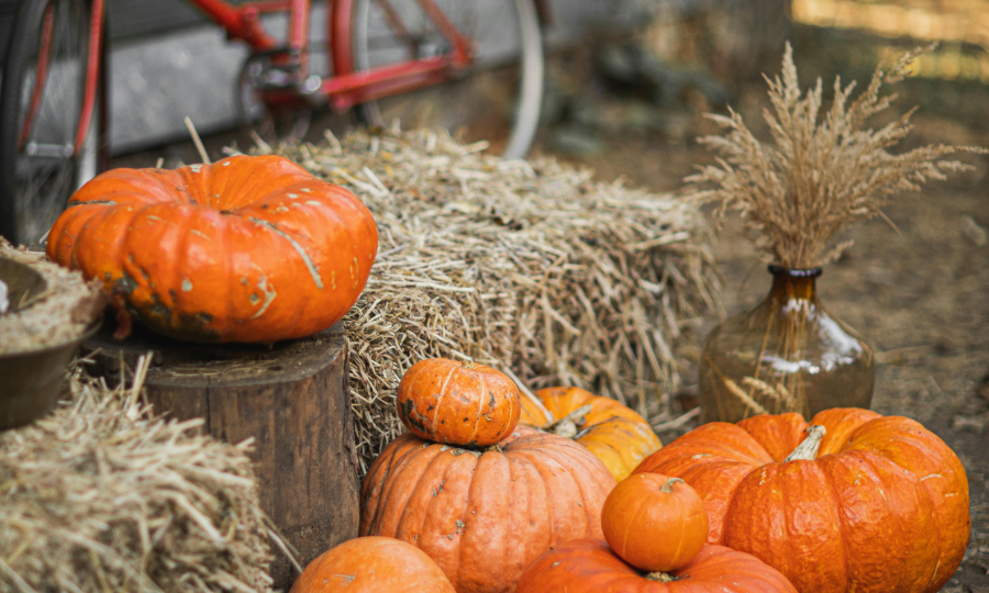 4 idées pour une fête d’Halloween réussie
