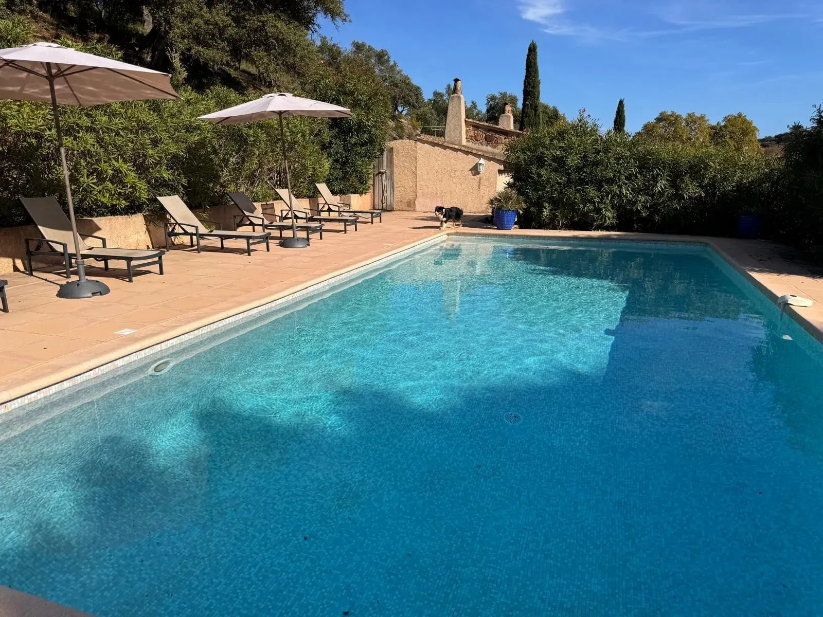 Villa in Agay, in the heart of a 30-hectare estate between land and sea