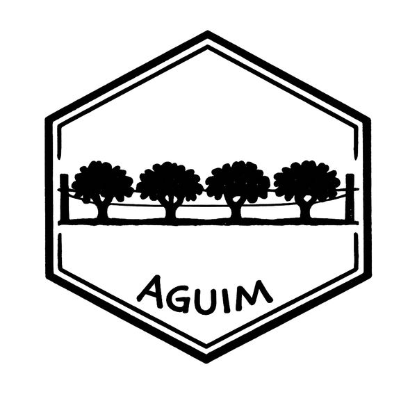 Aguim