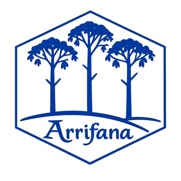 Arrifana