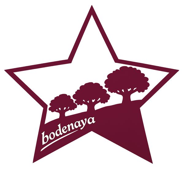 Bodenaya