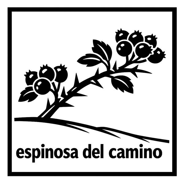Espinosa del Camino