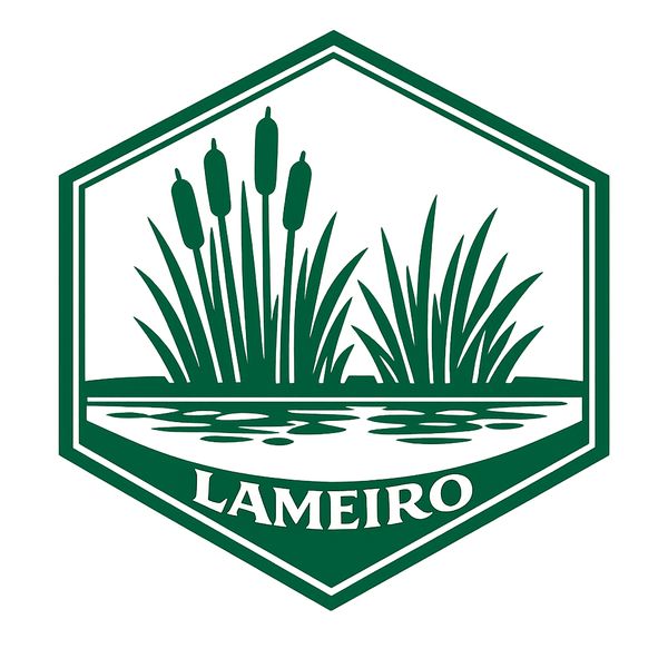 Lameiro