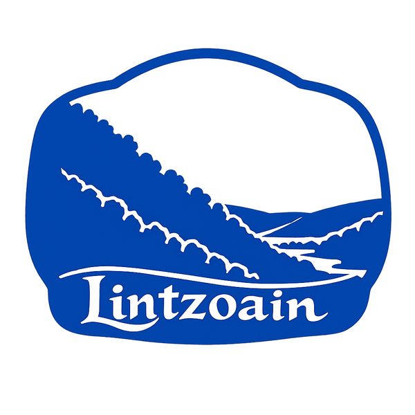 Lintzoain
