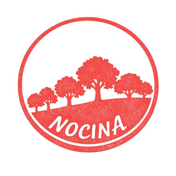 Nocina