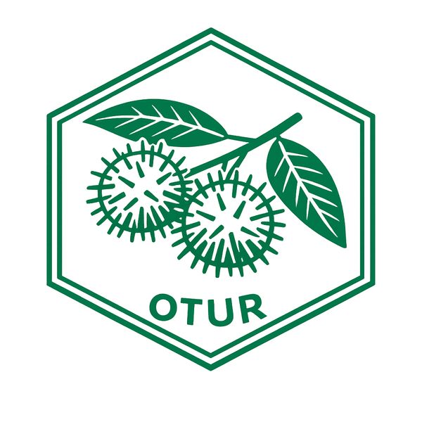 Otur