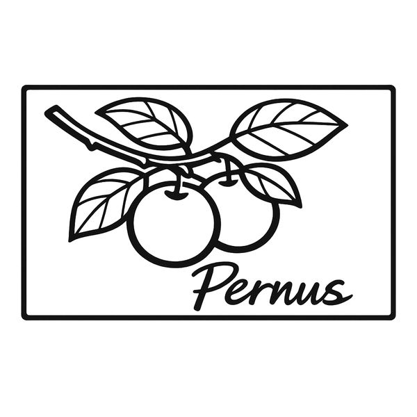 Pernus