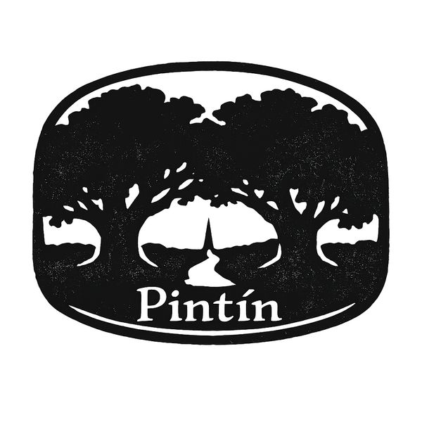 Pintín