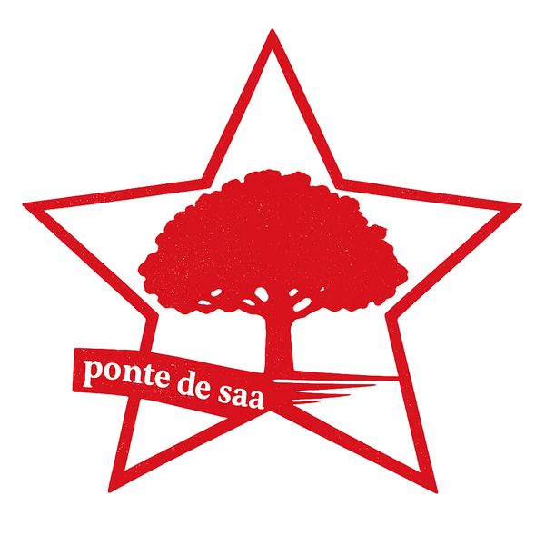 Ponte de Saa