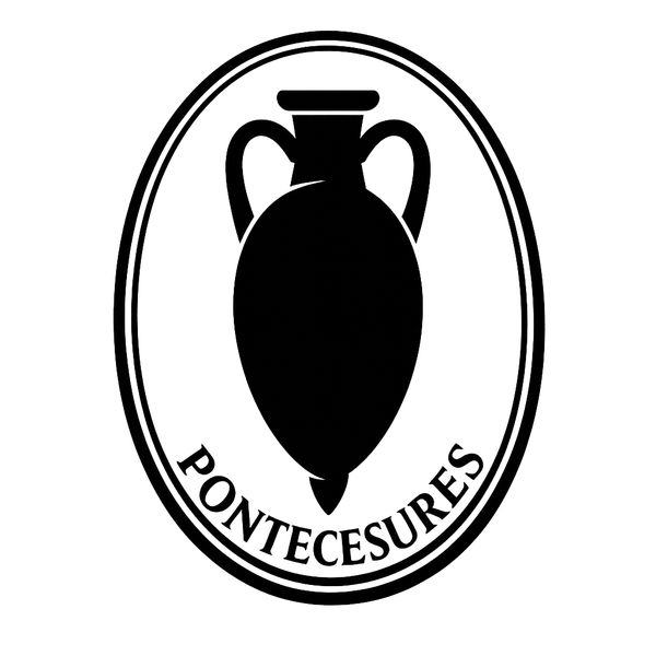 Pontecesures