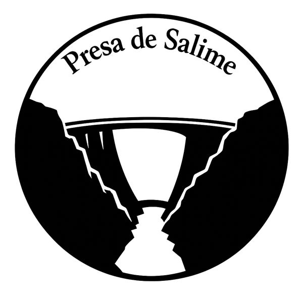Presa de Salime