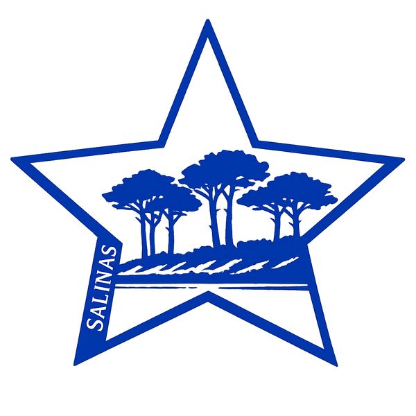 Salinas