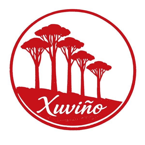 Xuviño