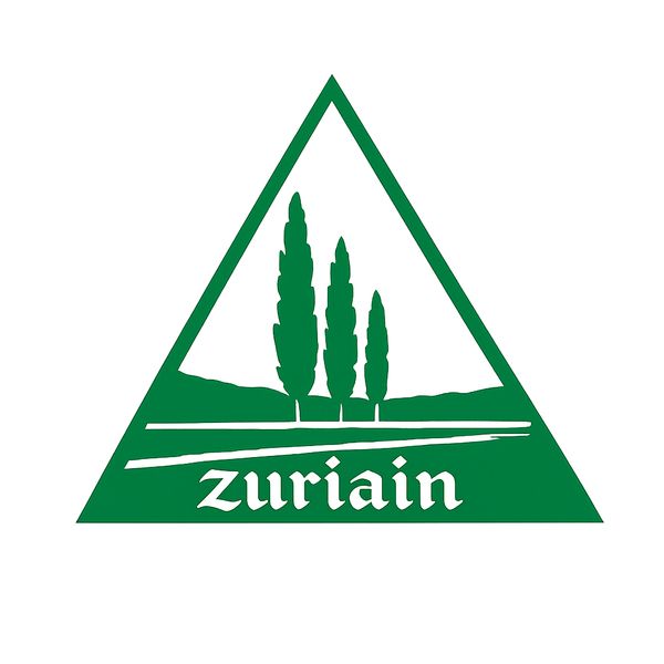 Zuriain