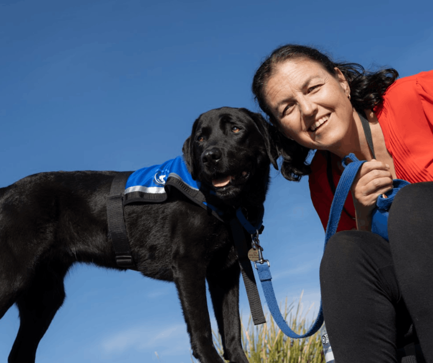 Assistance Dogs Australia