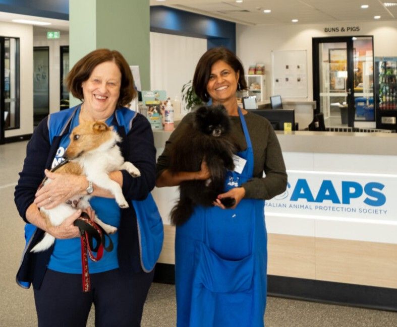 Australian Animal Protection Society