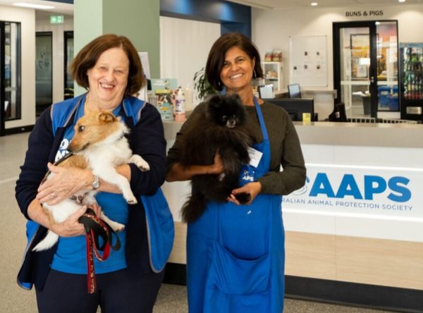 Australian Animal Protection Society