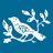Bluebird Foundation Inc