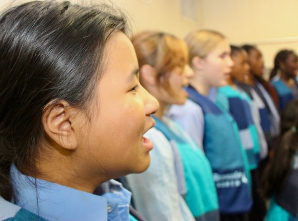 Bluebird Foundation Inc