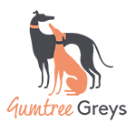 Gumtree Greys