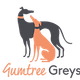 Gumtree Greys