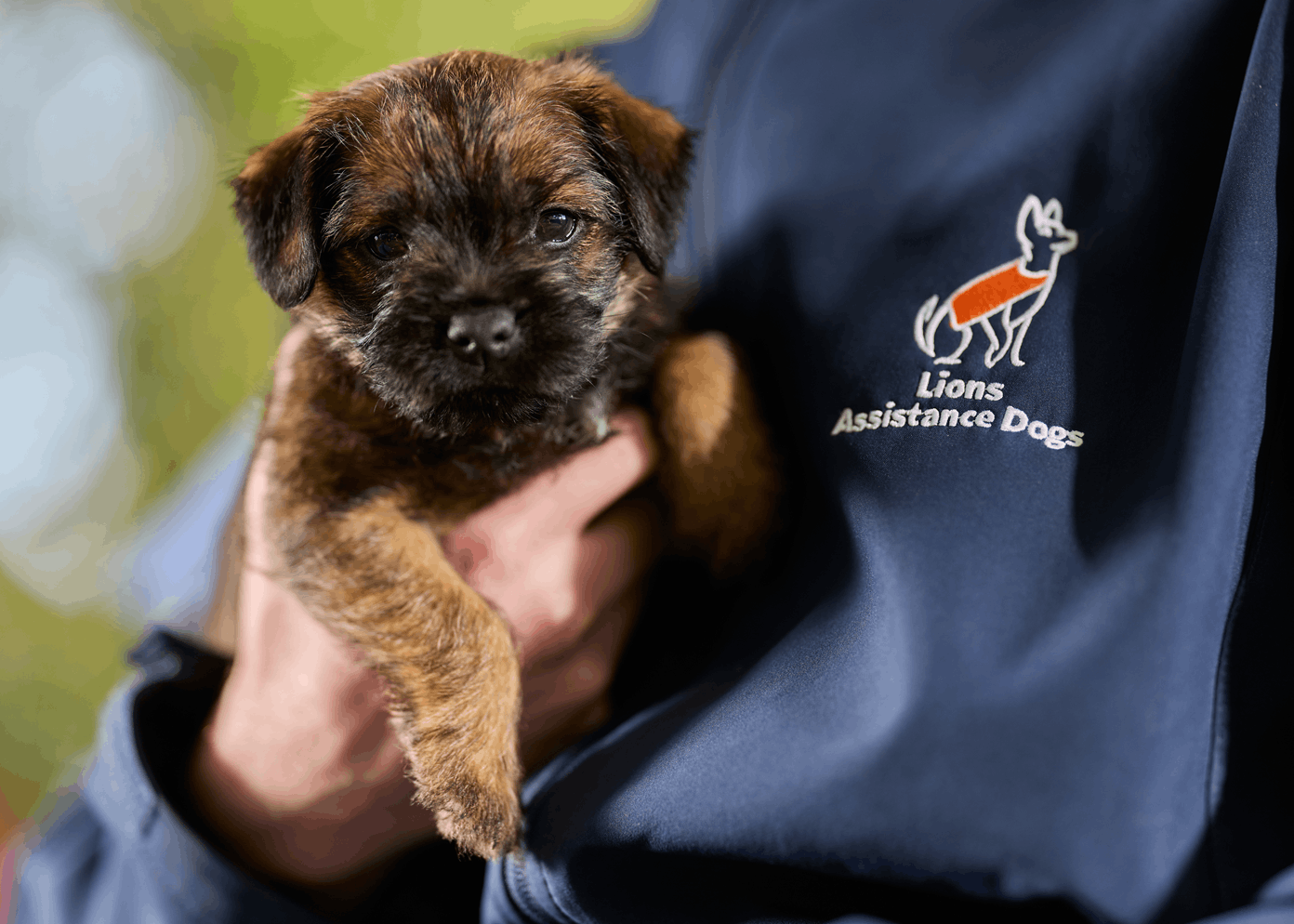 Lions Assistance Dogs (formerly Lions Hearing Dogs Inc)