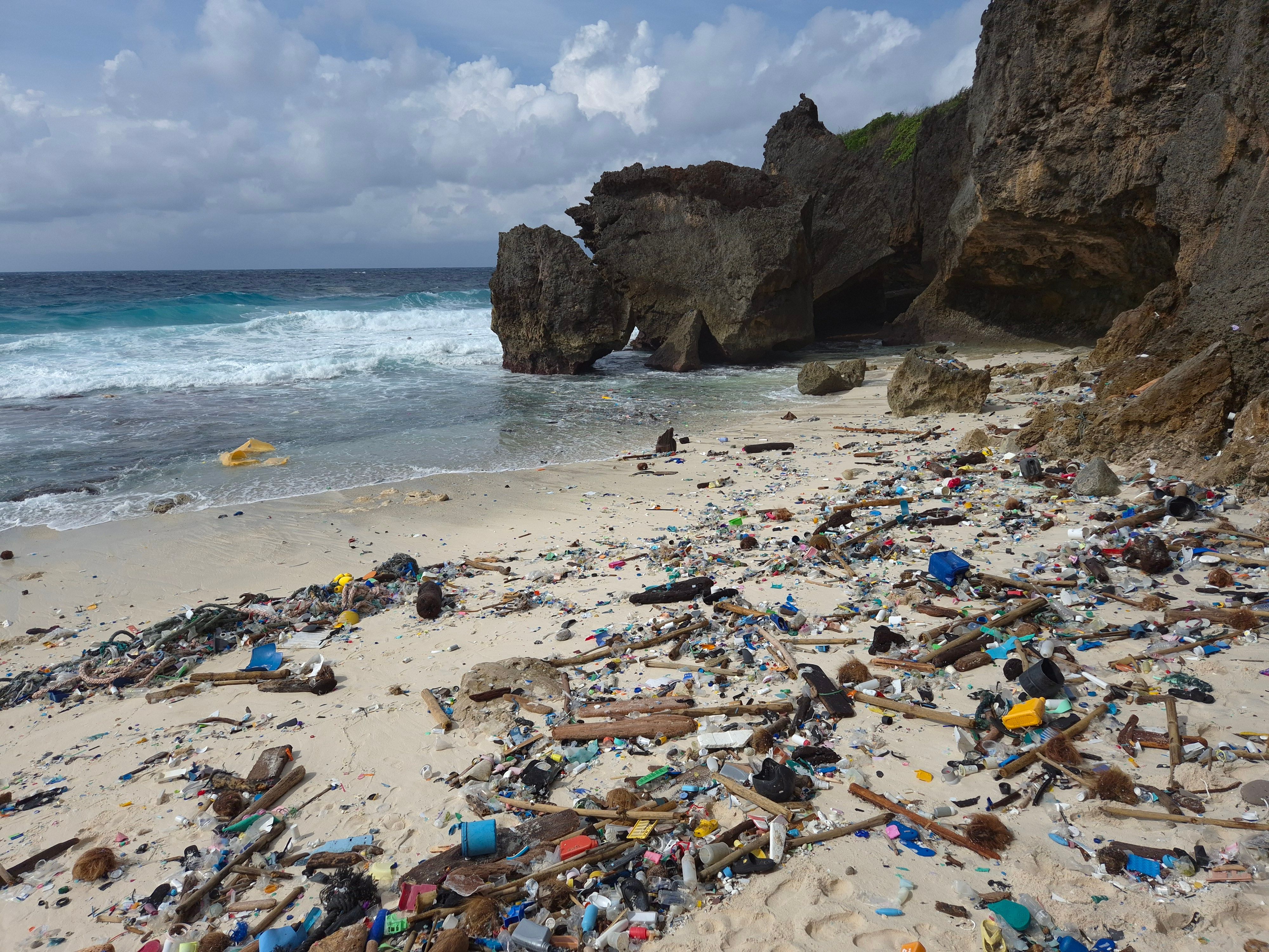 Tangaroa Blue Foundation